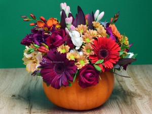 Rosu Tomnatic Rosu Tomnatic